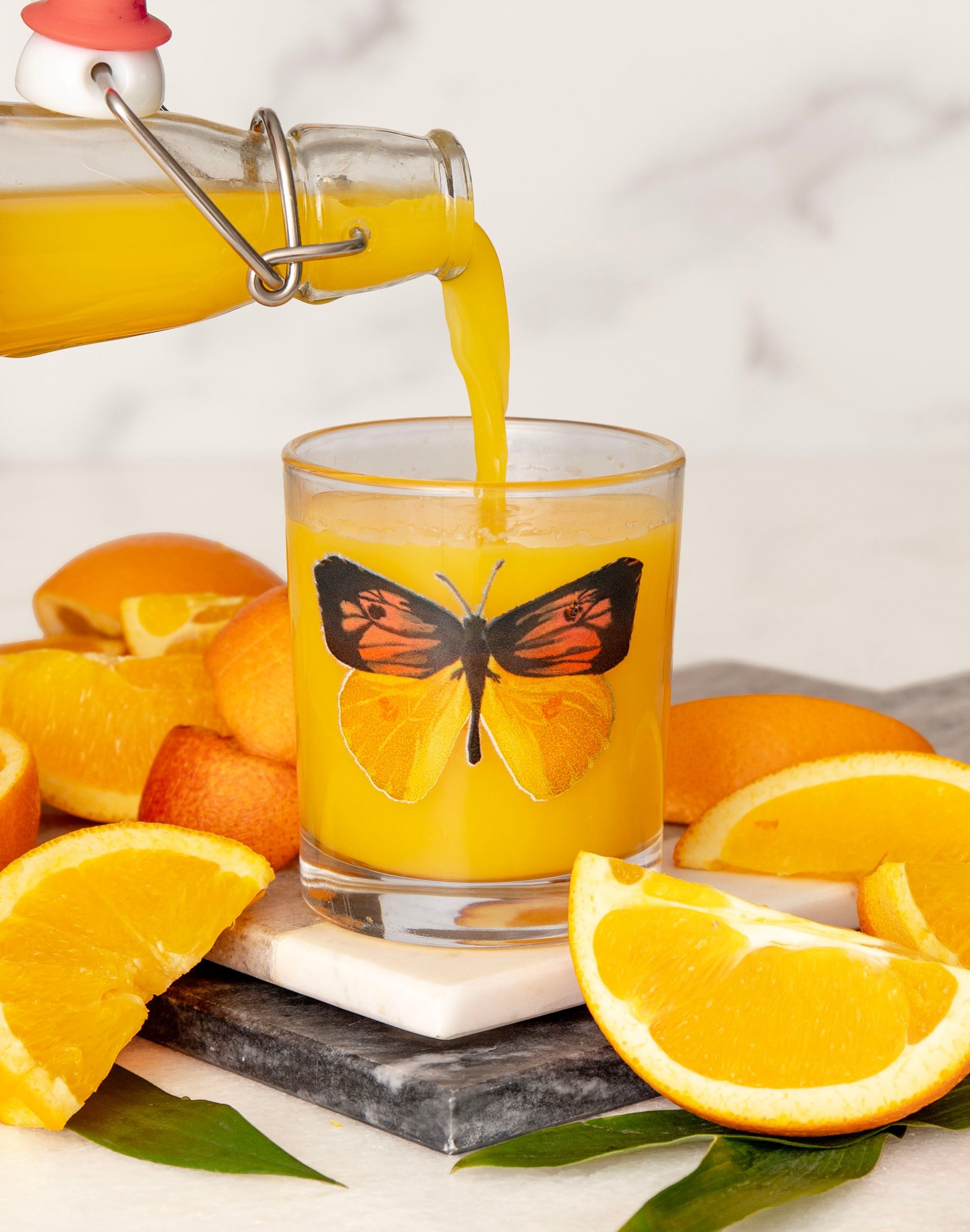 California Dogface Butterfly Short Juice Glass - 1canoe2